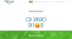 Desktop Screenshot of ortobellina.it